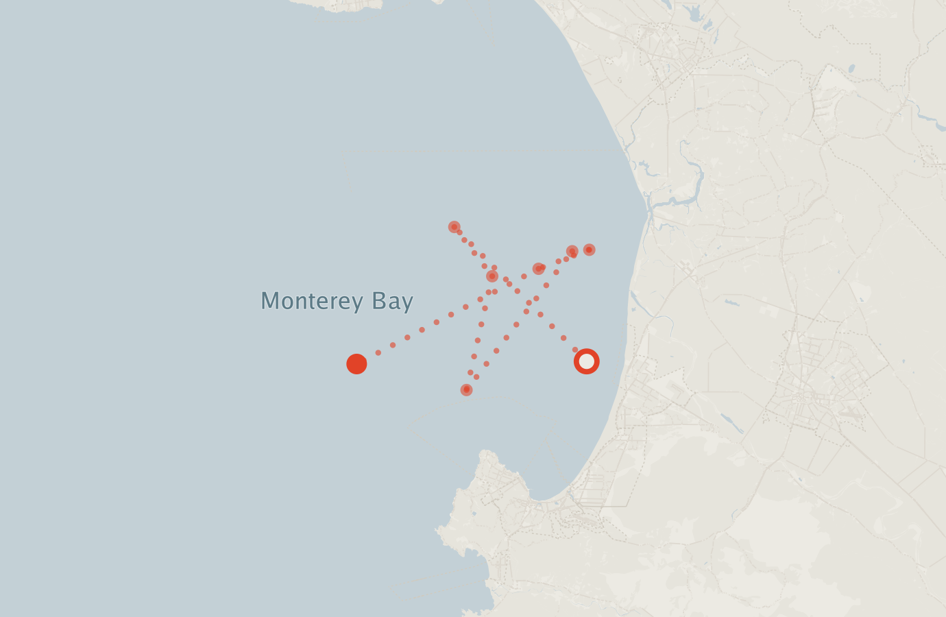Activity map — real sighting points on an OpenStreetMap basemap