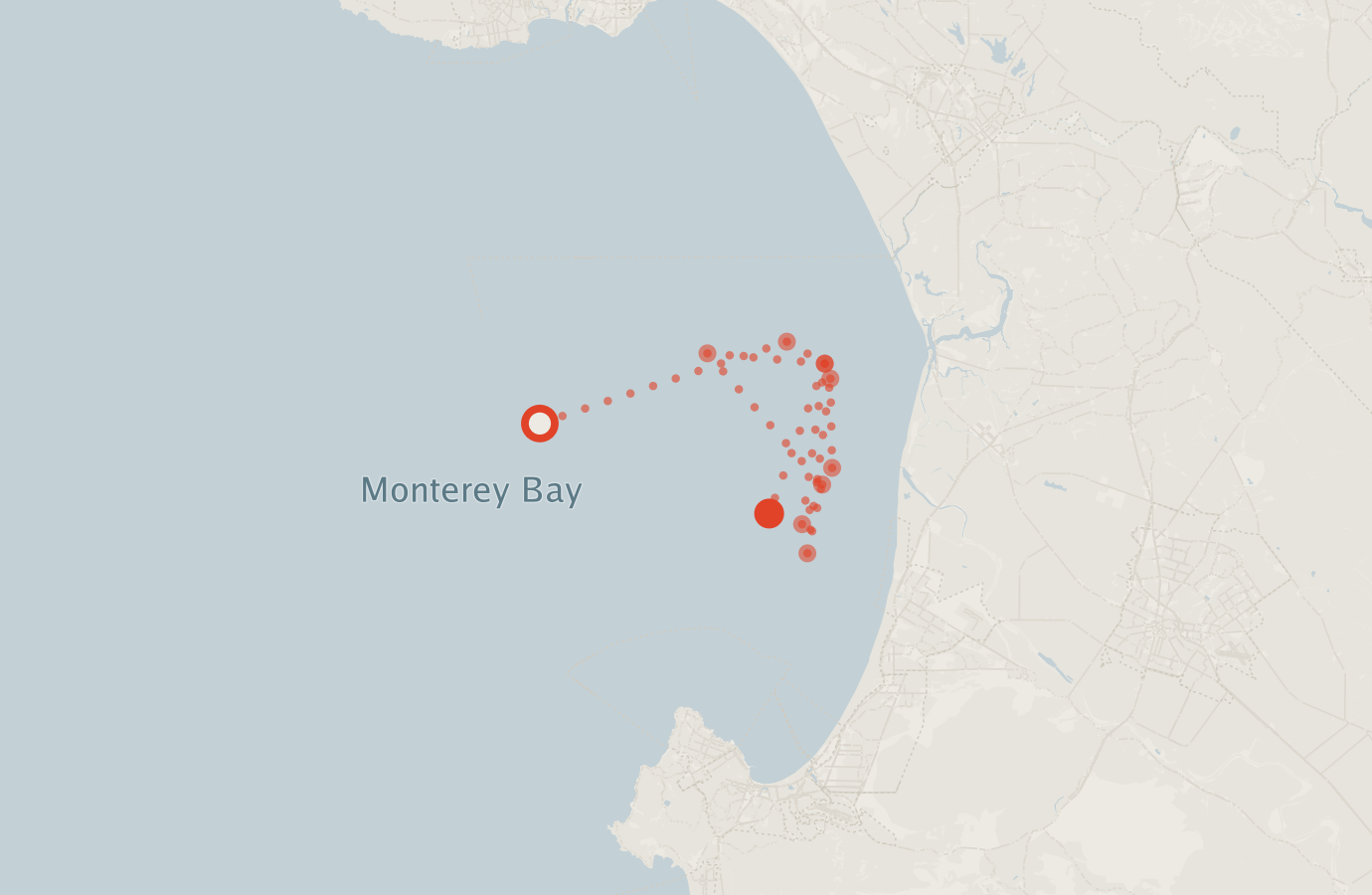 Activity map — real sighting points on an OpenStreetMap basemap