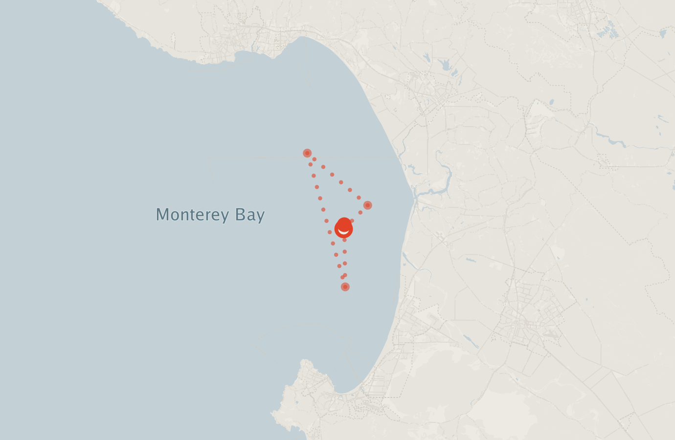 Activity map — real sighting points on an OpenStreetMap basemap