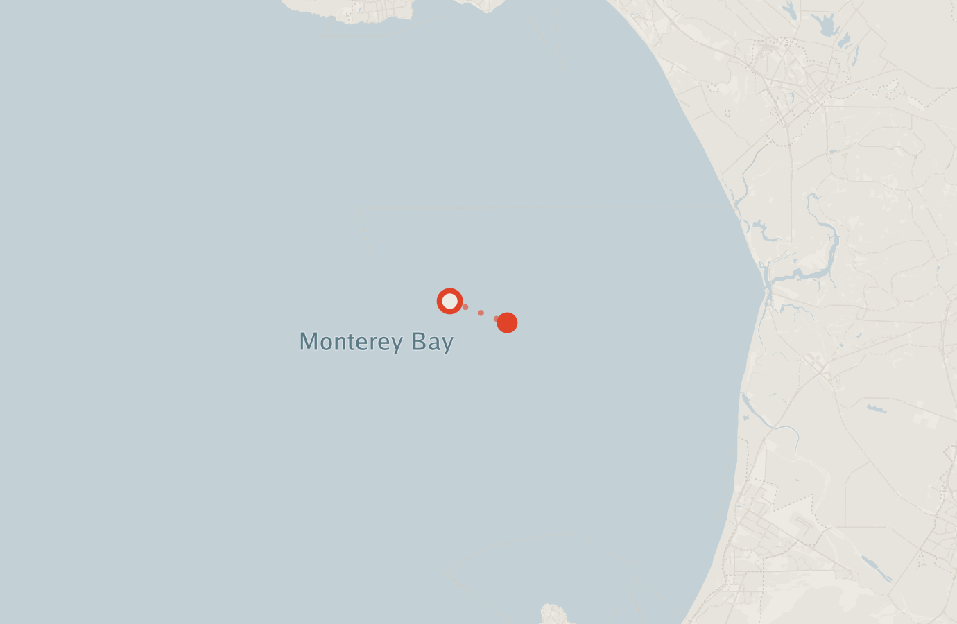 Activity map — real sighting points on an OpenStreetMap basemap