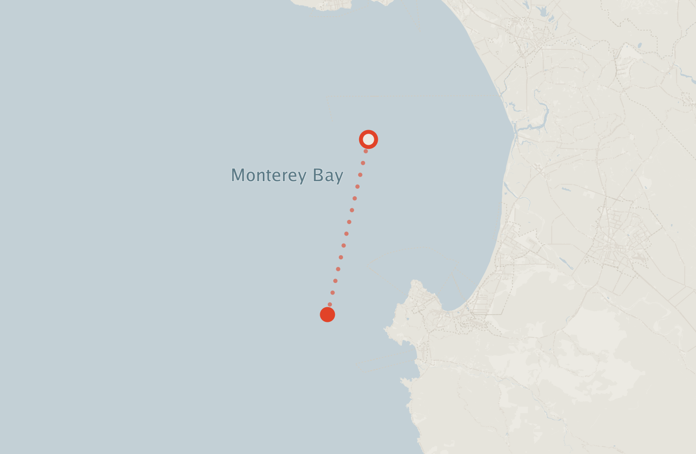 Activity map — real sighting points on an OpenStreetMap basemap