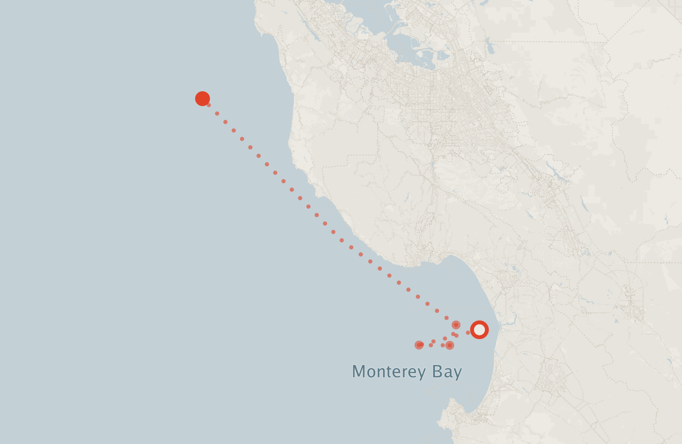 Activity map — real sighting points on an OpenStreetMap basemap