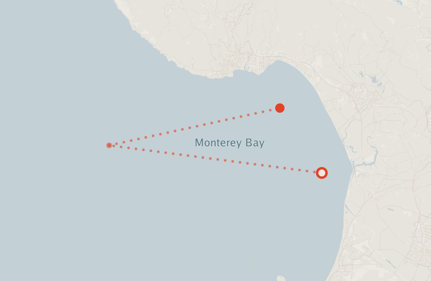 Activity map — real sighting points on an OpenStreetMap basemap
