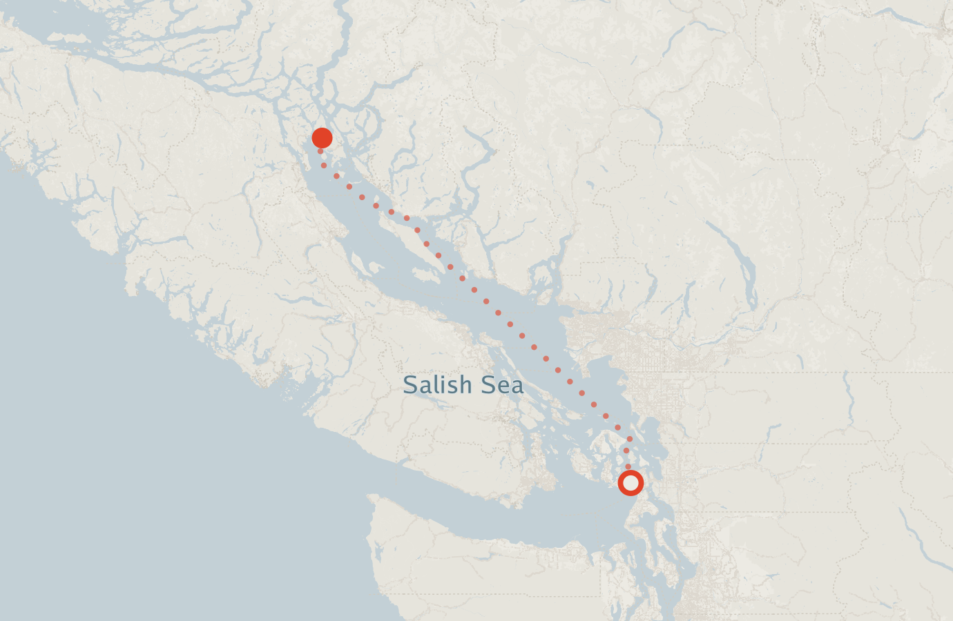 Activity map — real sighting points on an OpenStreetMap basemap