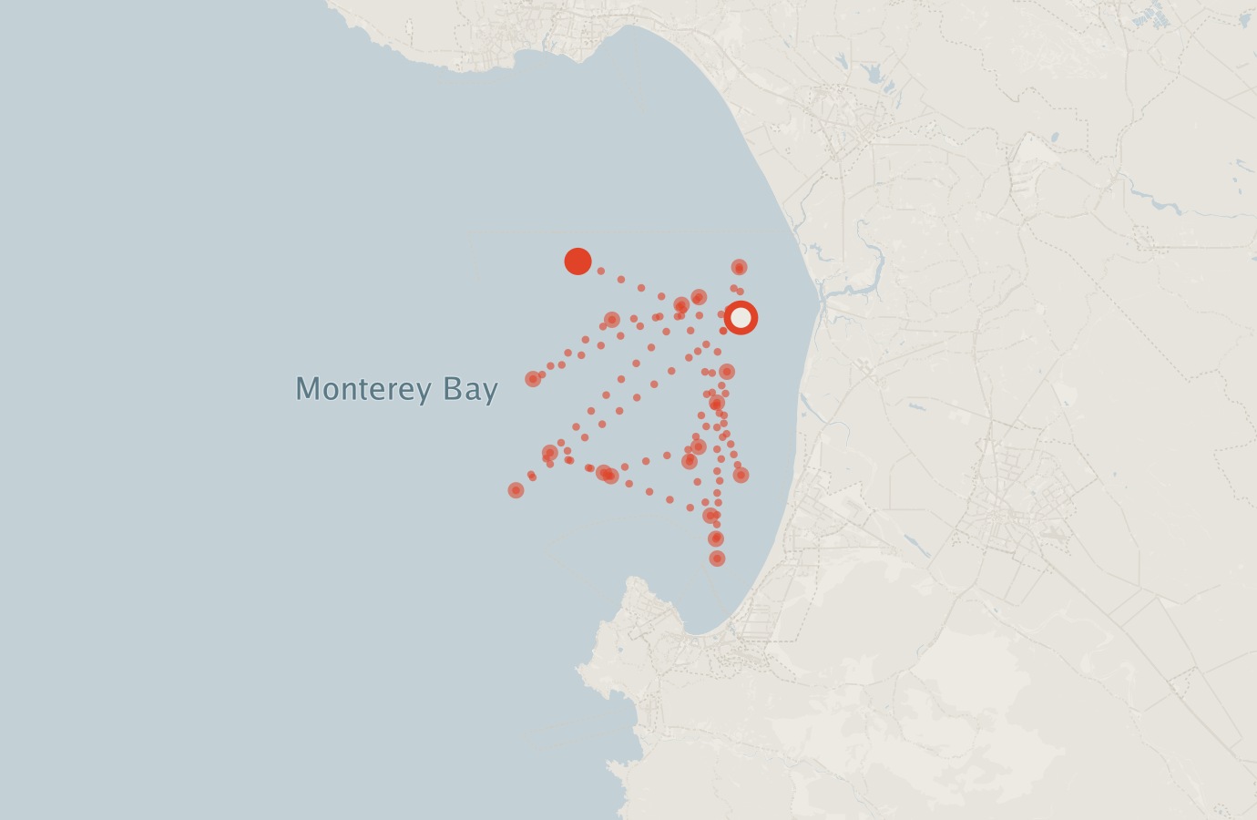 Activity map — real sighting points on an OpenStreetMap basemap