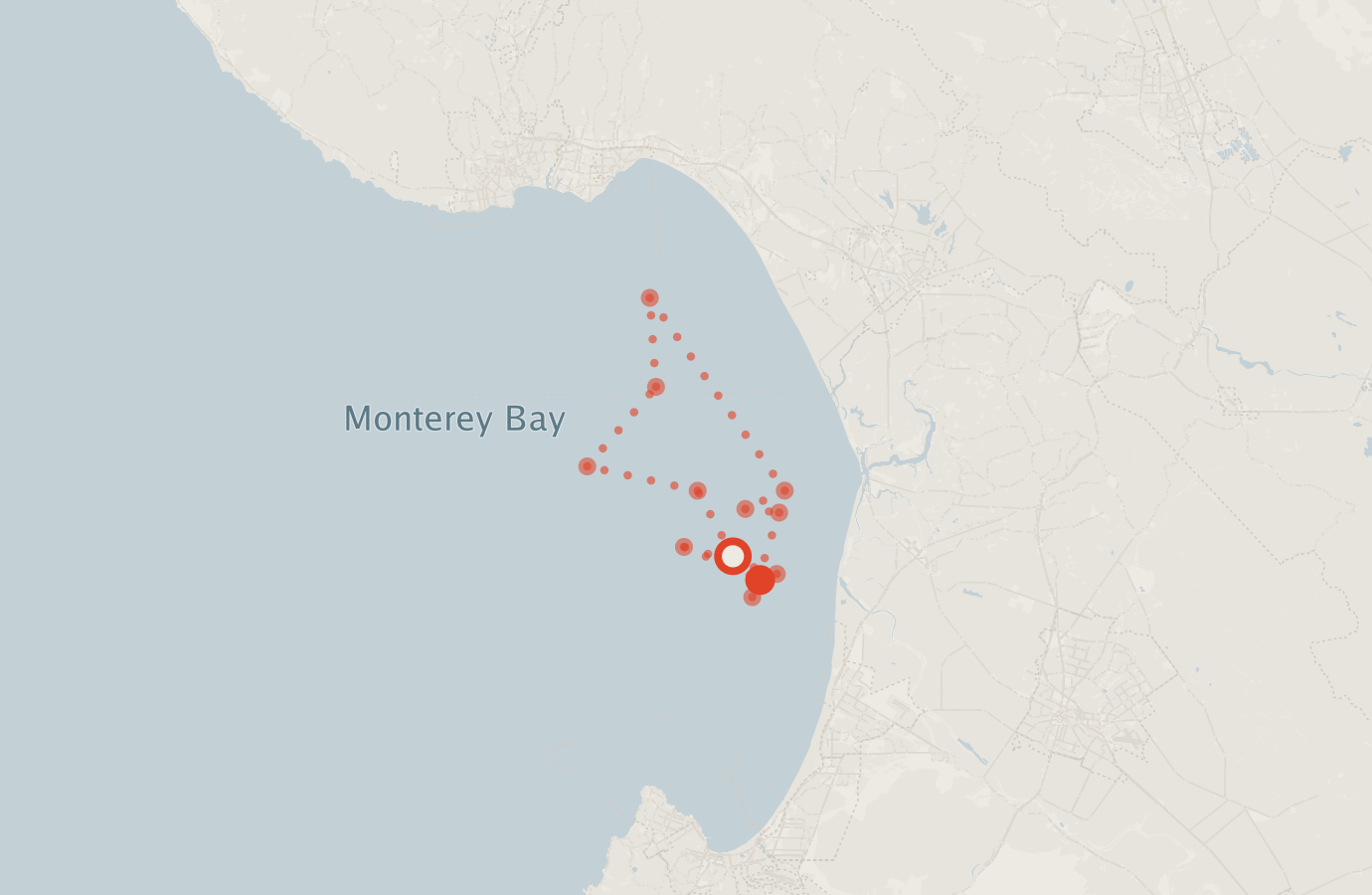 Activity map — real sighting points on an OpenStreetMap basemap