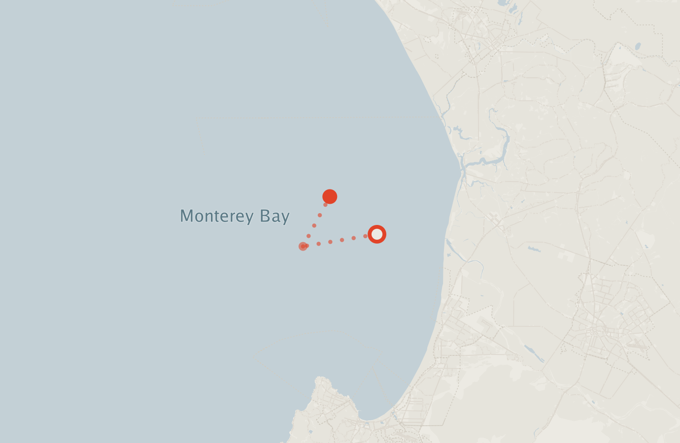 Activity map — real sighting points on an OpenStreetMap basemap
