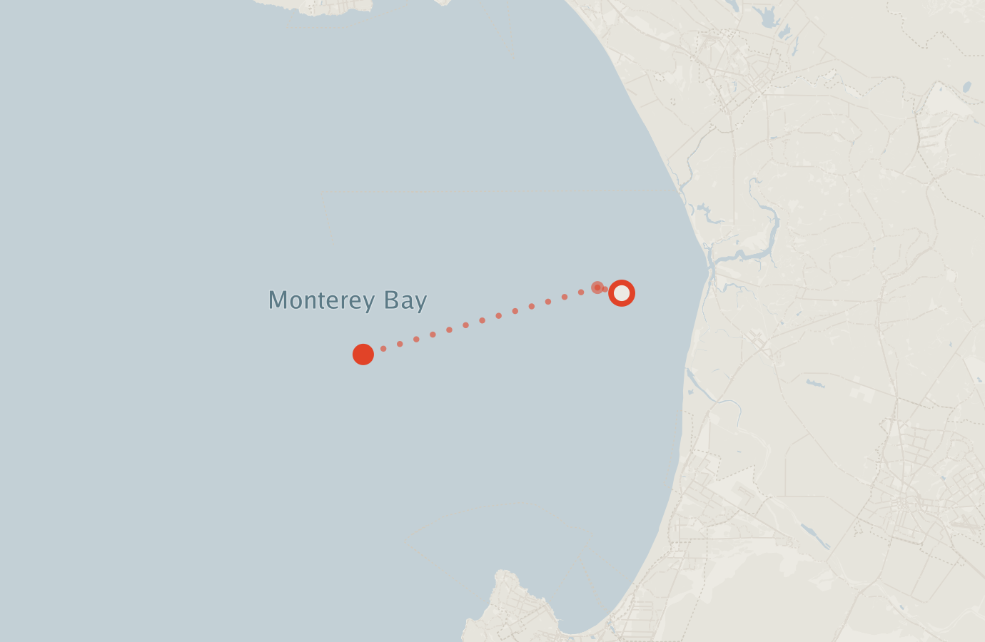 Activity map — real sighting points on an OpenStreetMap basemap