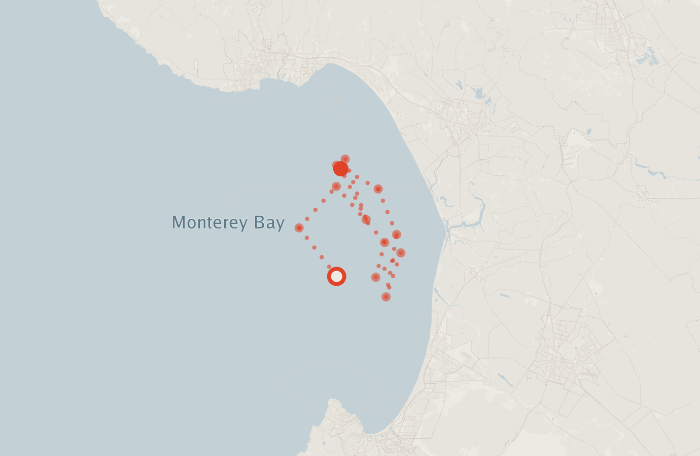 Activity map — real sighting points on an OpenStreetMap basemap
