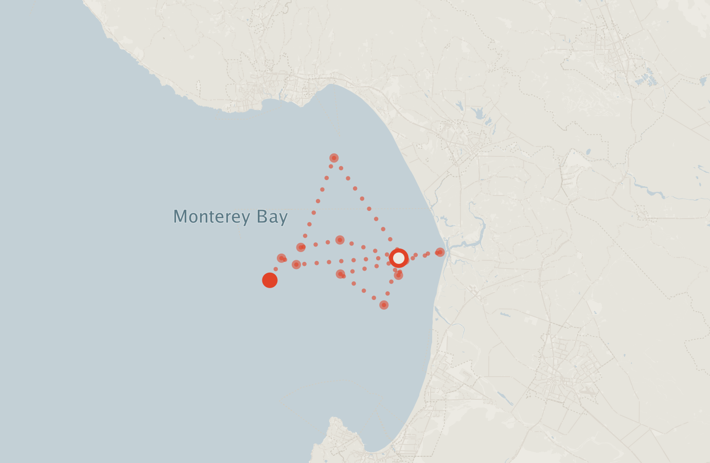 Activity map — real sighting points on an OpenStreetMap basemap