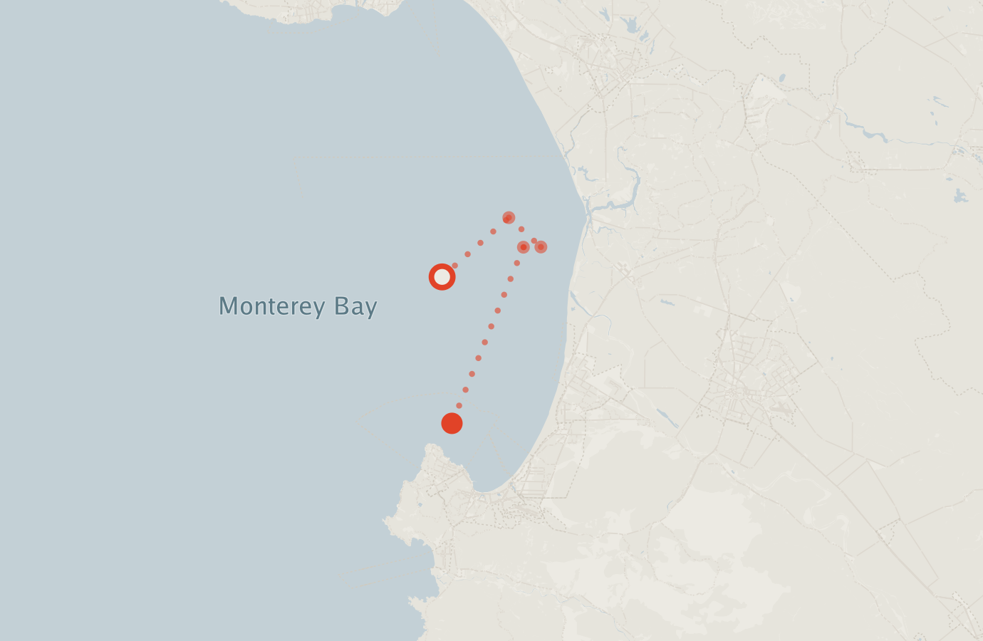 Activity map — real sighting points on an OpenStreetMap basemap