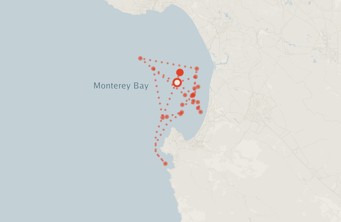 Activity map — real sighting points on an OpenStreetMap basemap