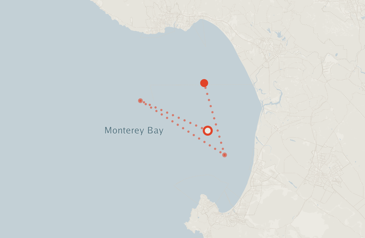 Activity map — real sighting points on an OpenStreetMap basemap