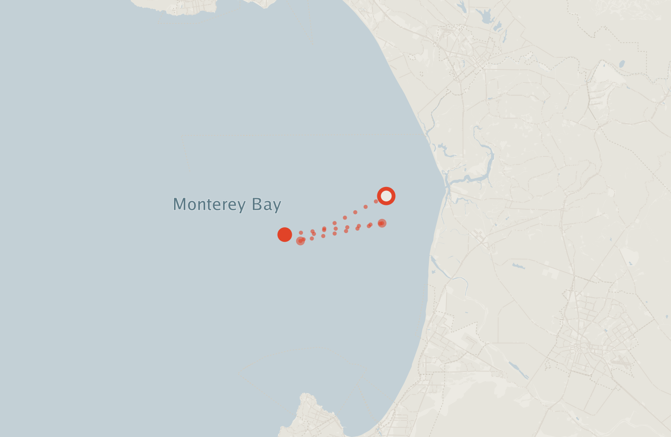 Activity map — real sighting points on an OpenStreetMap basemap