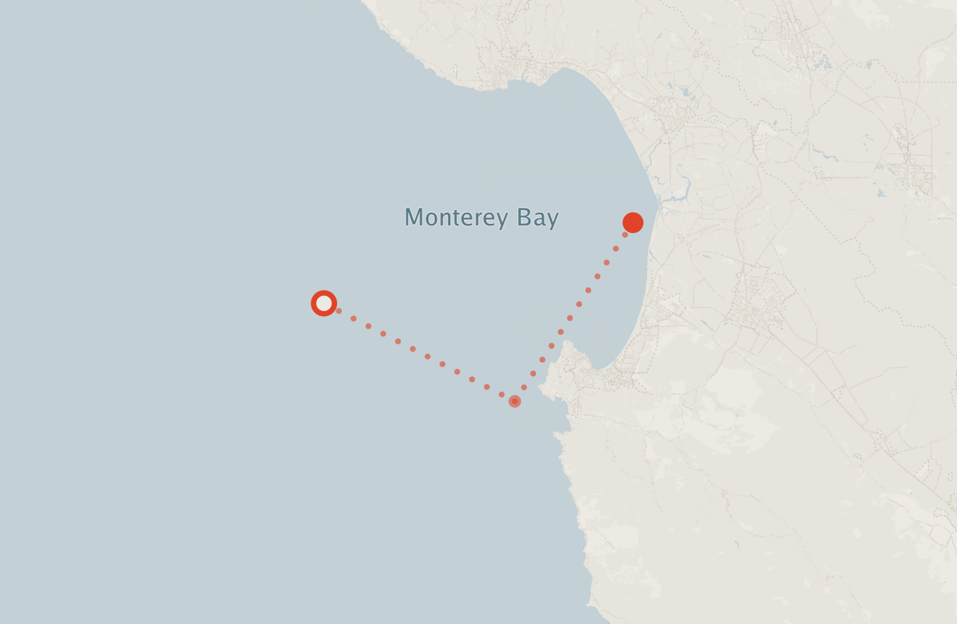 Activity map — real sighting points on an OpenStreetMap basemap