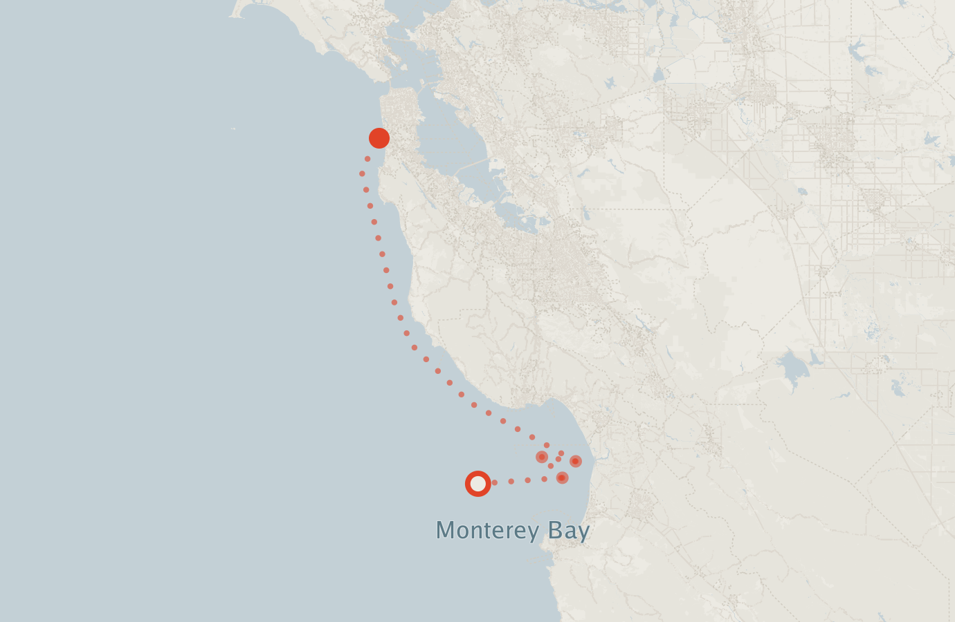 Activity map — real sighting points on an OpenStreetMap basemap