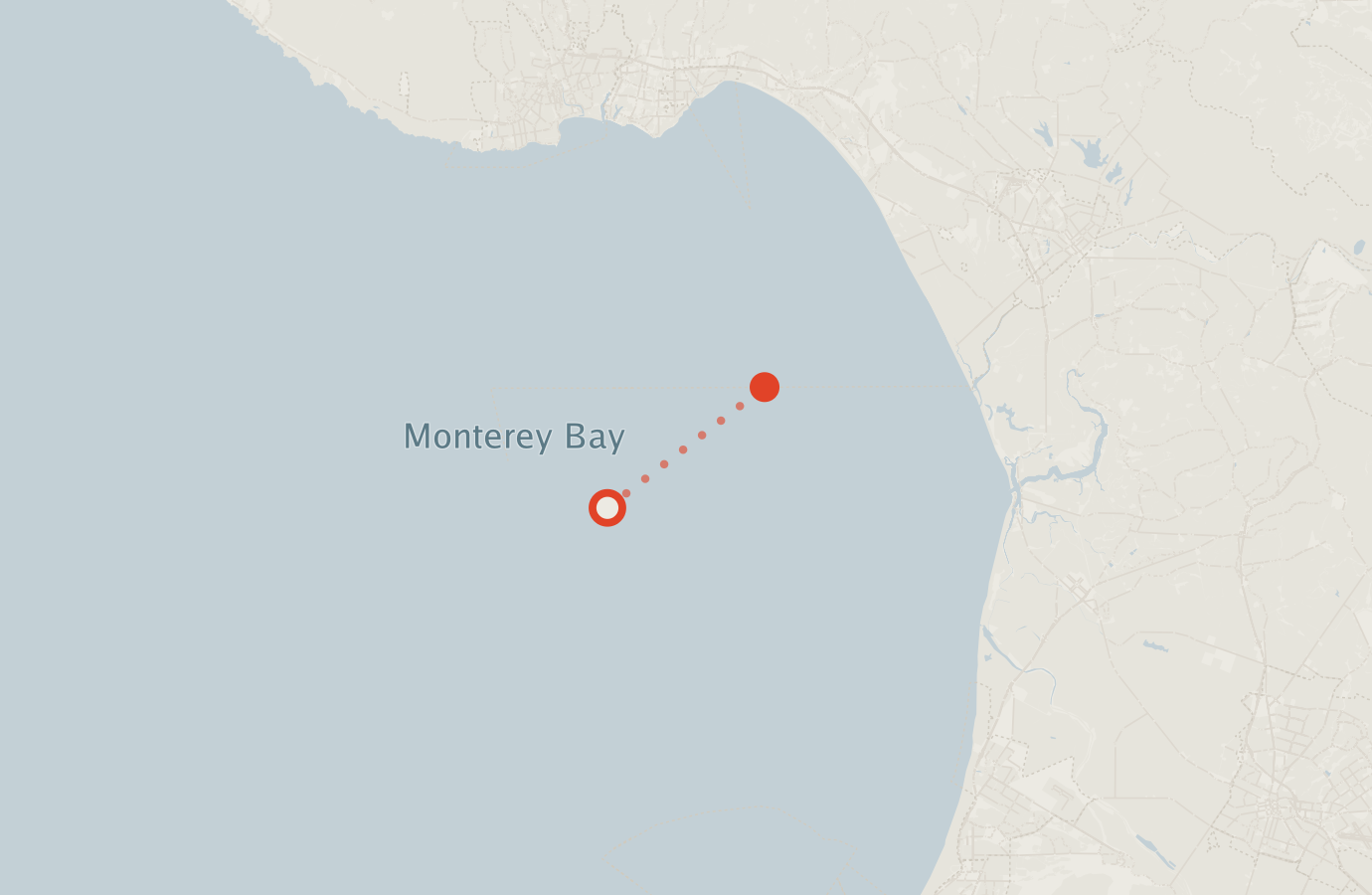 Activity map — real sighting points on an OpenStreetMap basemap