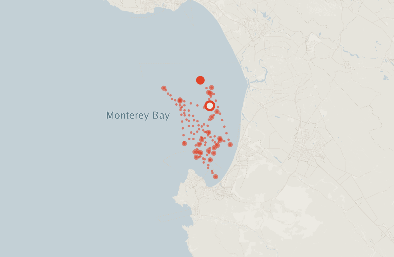Activity map — real sighting points on an OpenStreetMap basemap
