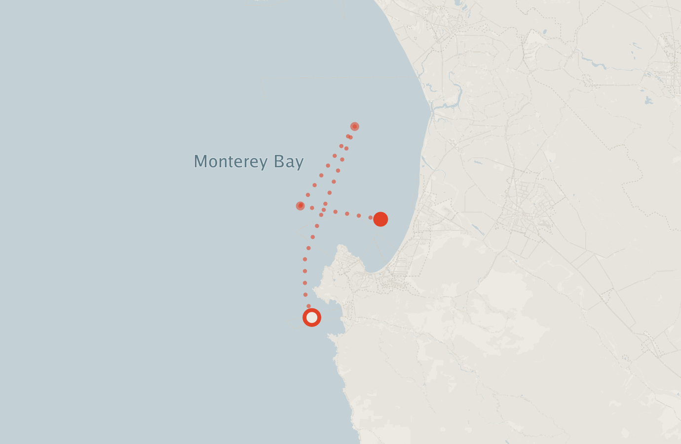 Activity map — real sighting points on an OpenStreetMap basemap