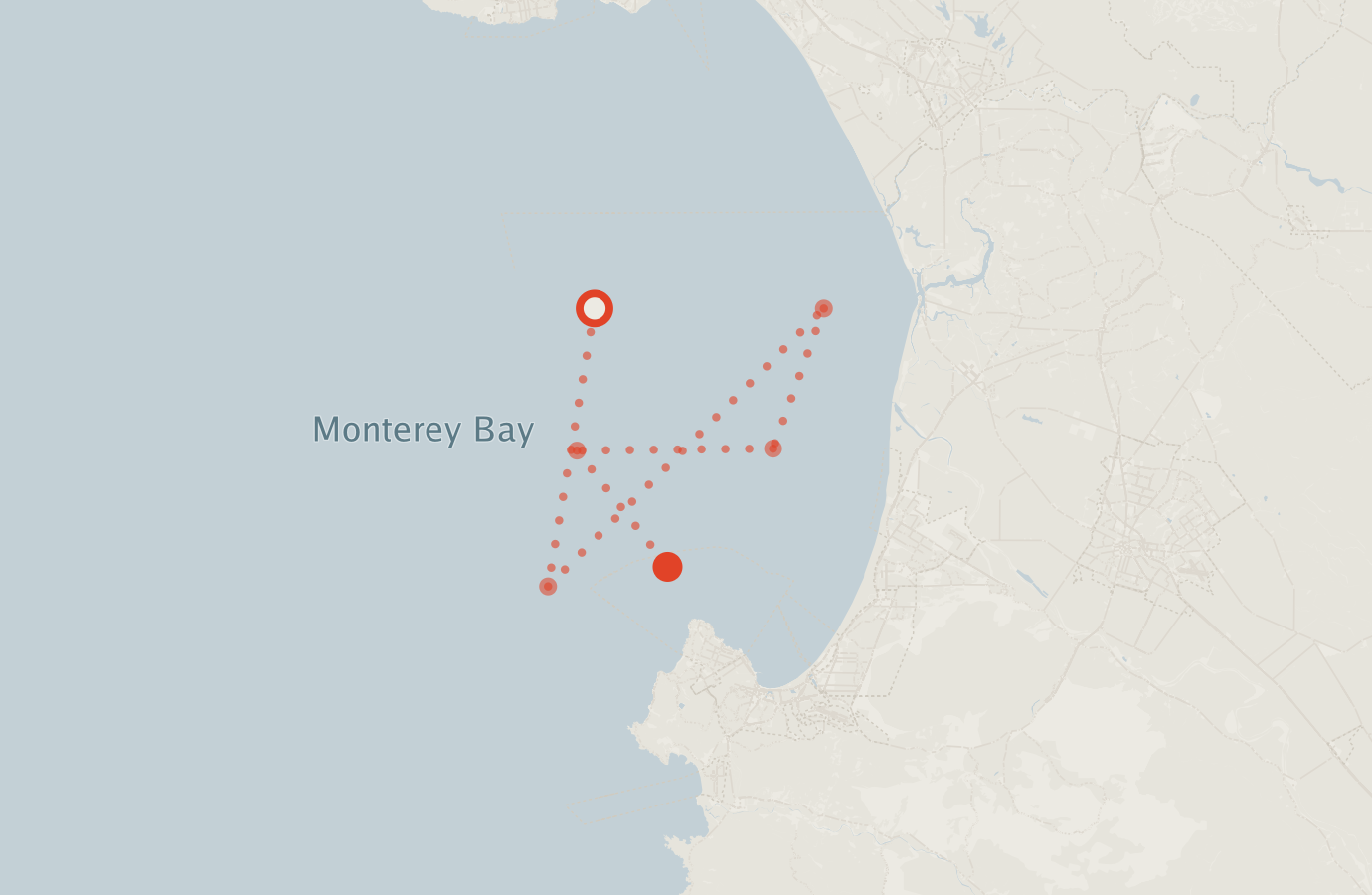 Activity map — real sighting points on an OpenStreetMap basemap