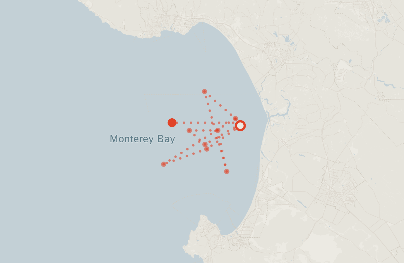 Activity map — real sighting points on an OpenStreetMap basemap