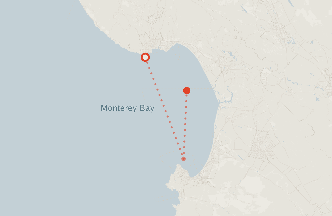 Activity map — real sighting points on an OpenStreetMap basemap