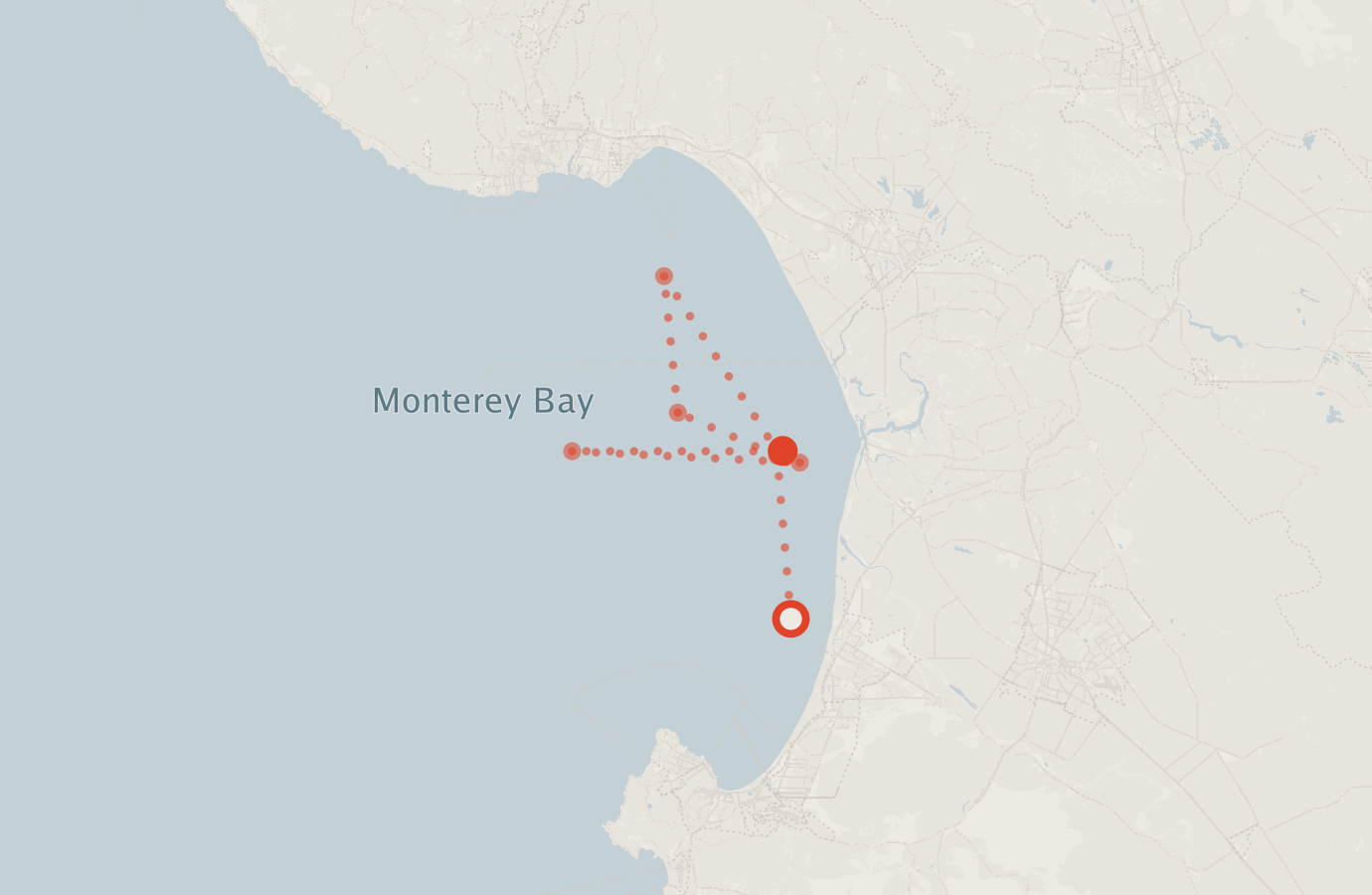 Activity map — real sighting points on an OpenStreetMap basemap