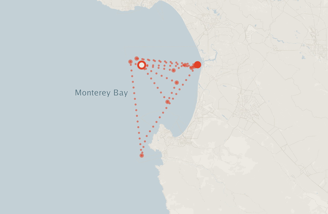 Activity map — real sighting points on an OpenStreetMap basemap