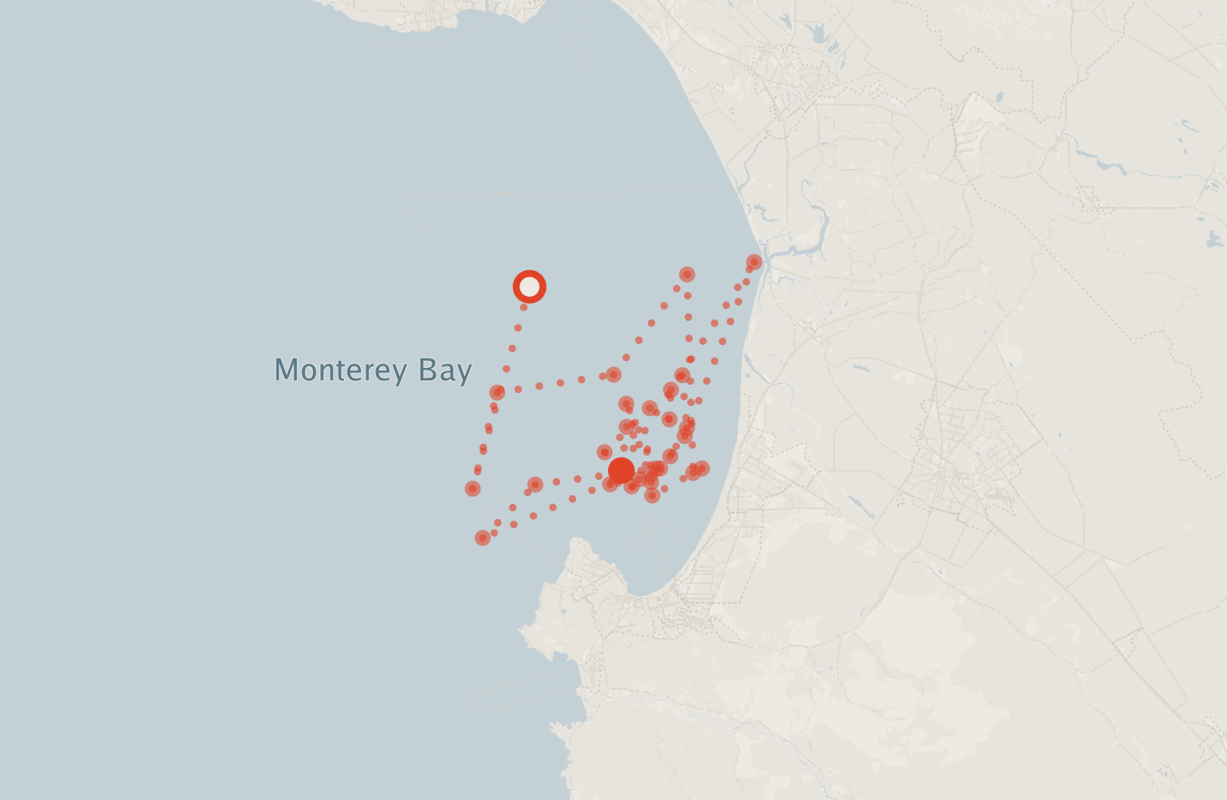 Activity map — real sighting points on an OpenStreetMap basemap