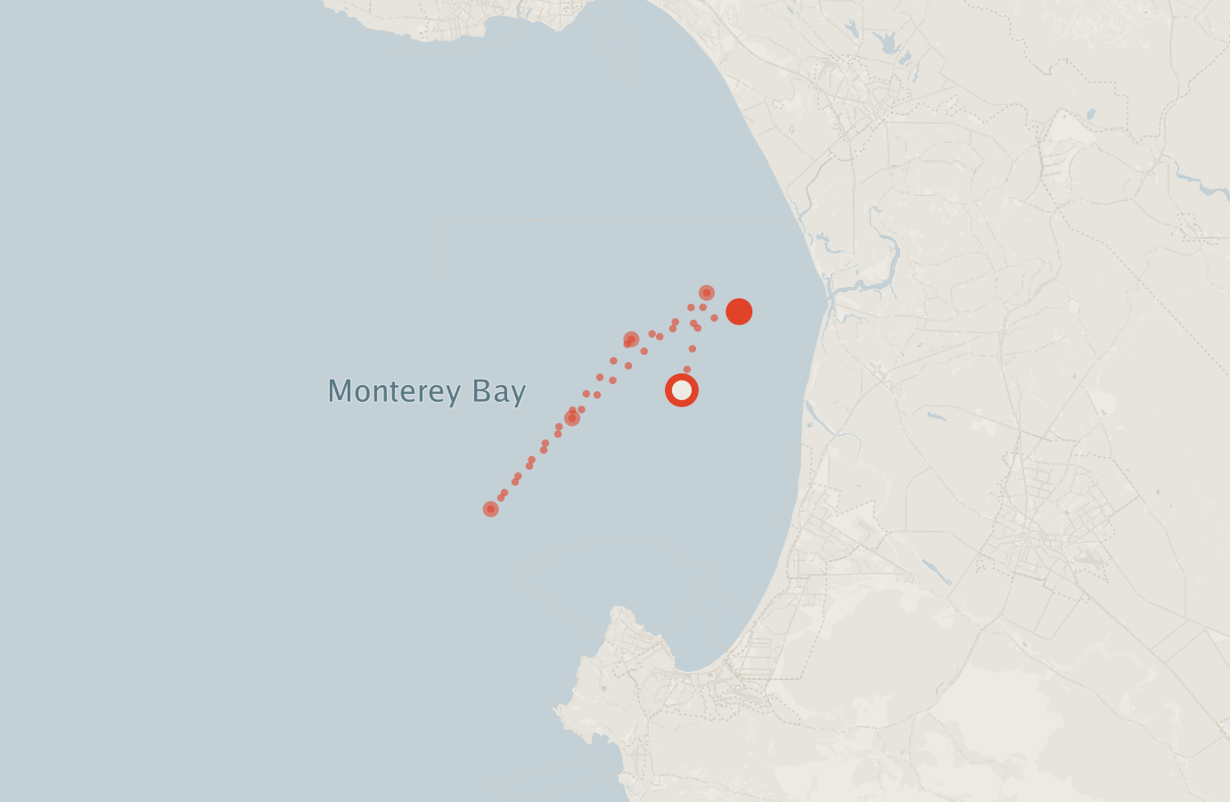 Activity map — real sighting points on an OpenStreetMap basemap
