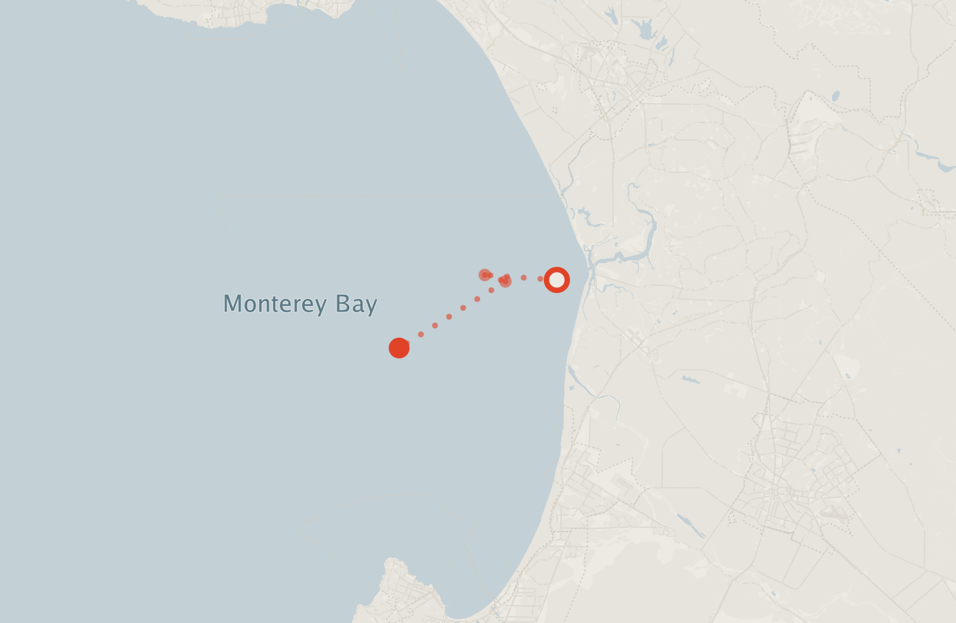 Activity map — real sighting points on an OpenStreetMap basemap