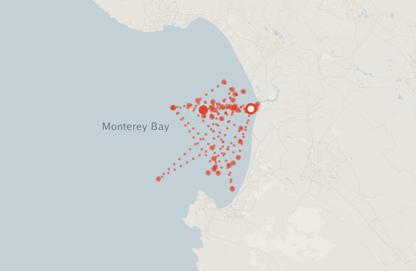 Activity map — real sighting points on an OpenStreetMap basemap