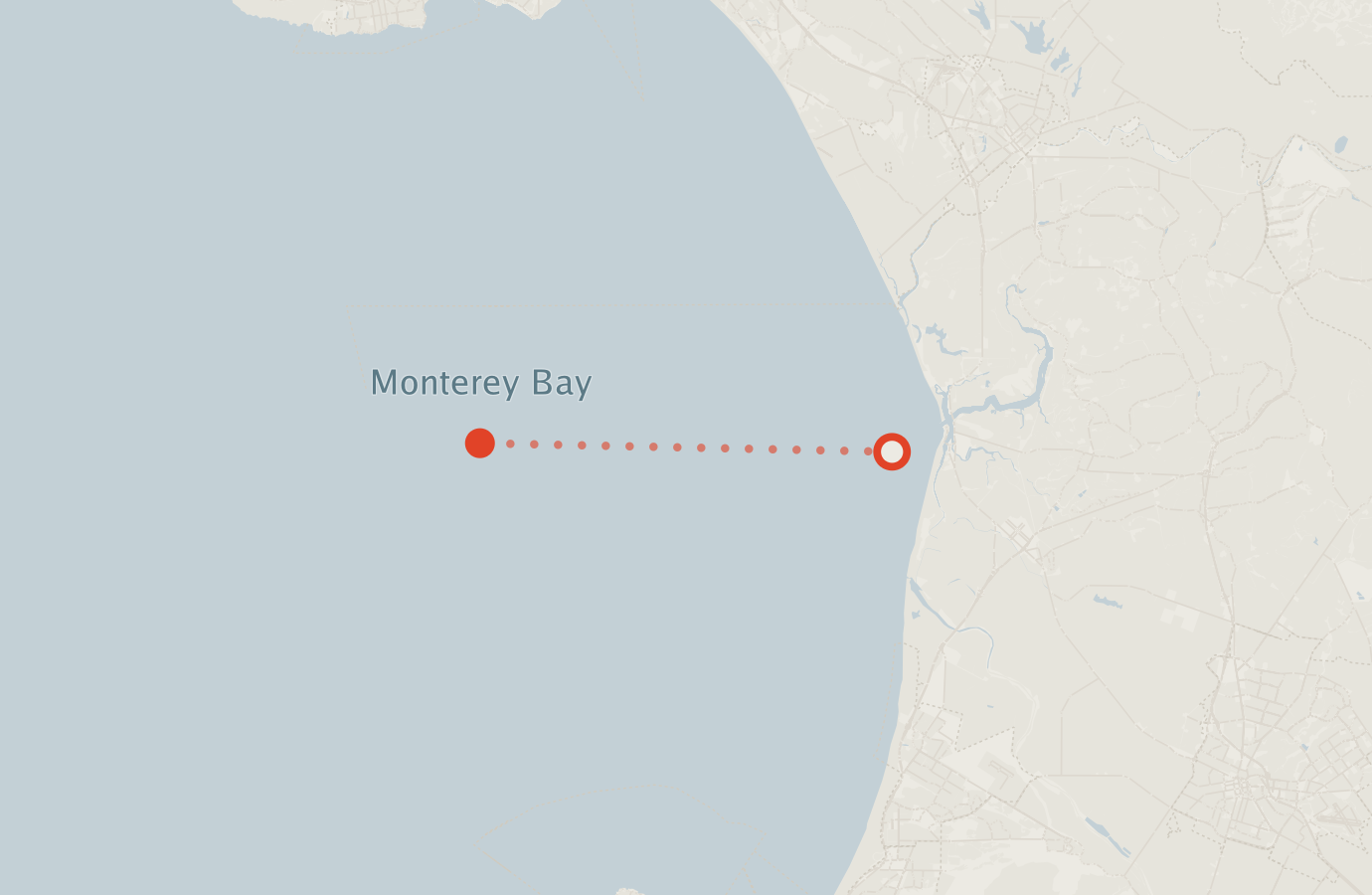 Activity map — real sighting points on an OpenStreetMap basemap