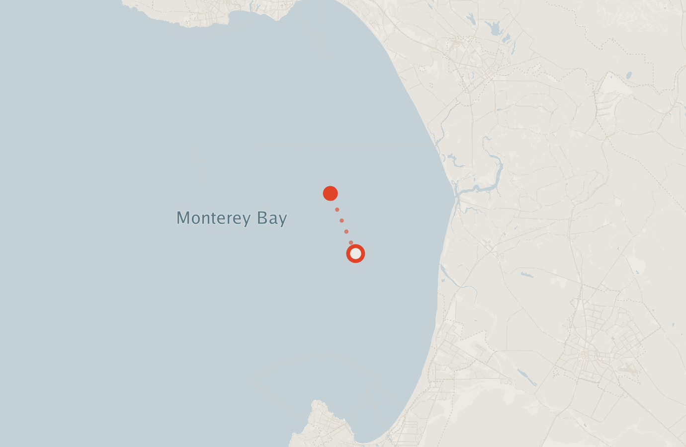 Activity map — real sighting points on an OpenStreetMap basemap
