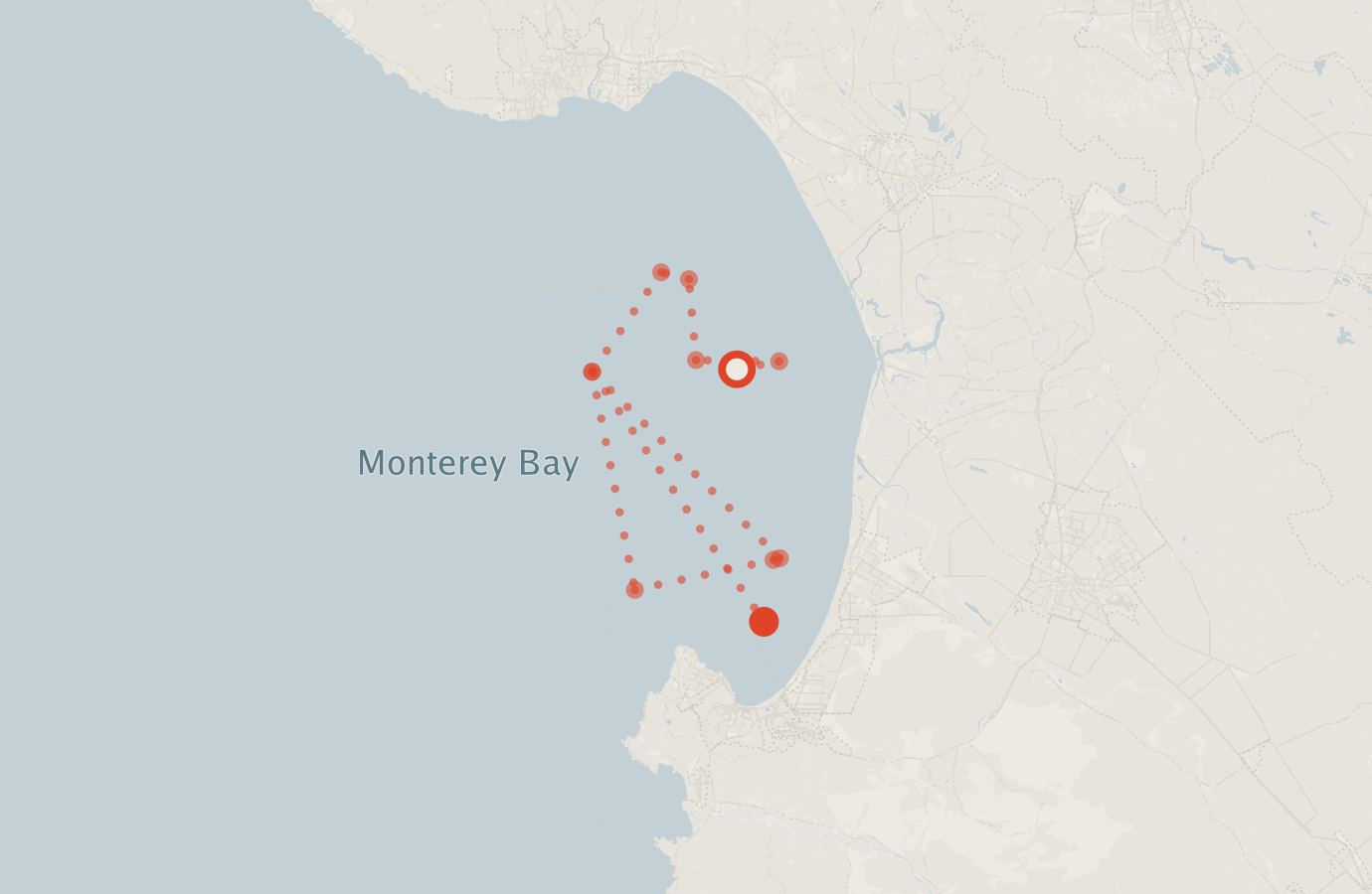 Activity map — real sighting points on an OpenStreetMap basemap