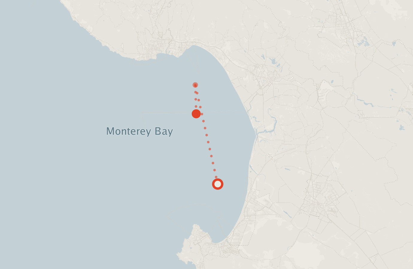 Activity map — real sighting points on an OpenStreetMap basemap