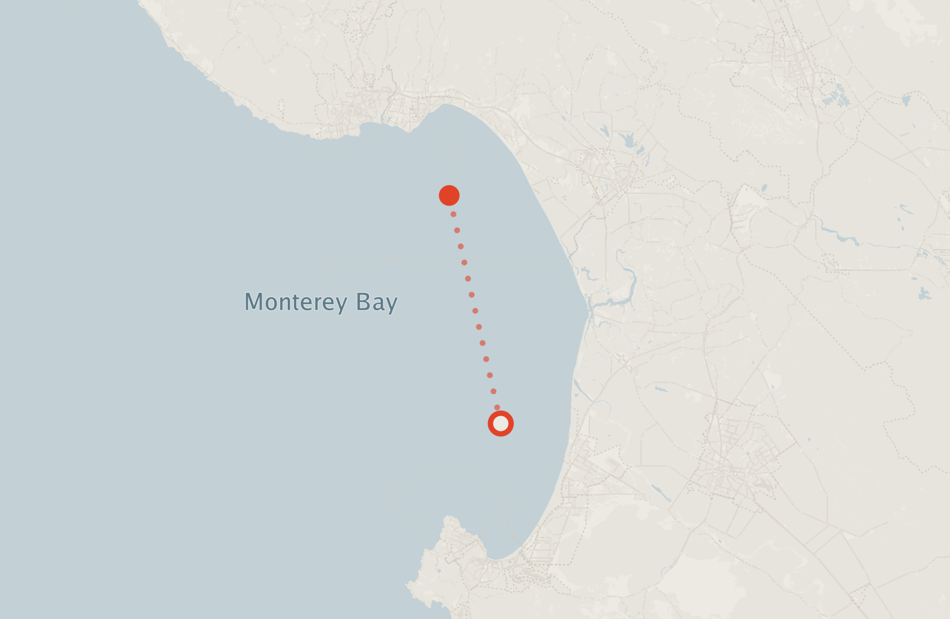 Activity map — real sighting points on an OpenStreetMap basemap