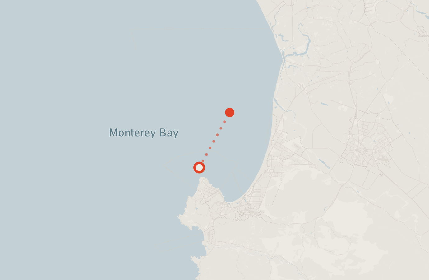 Activity map — real sighting points on an OpenStreetMap basemap