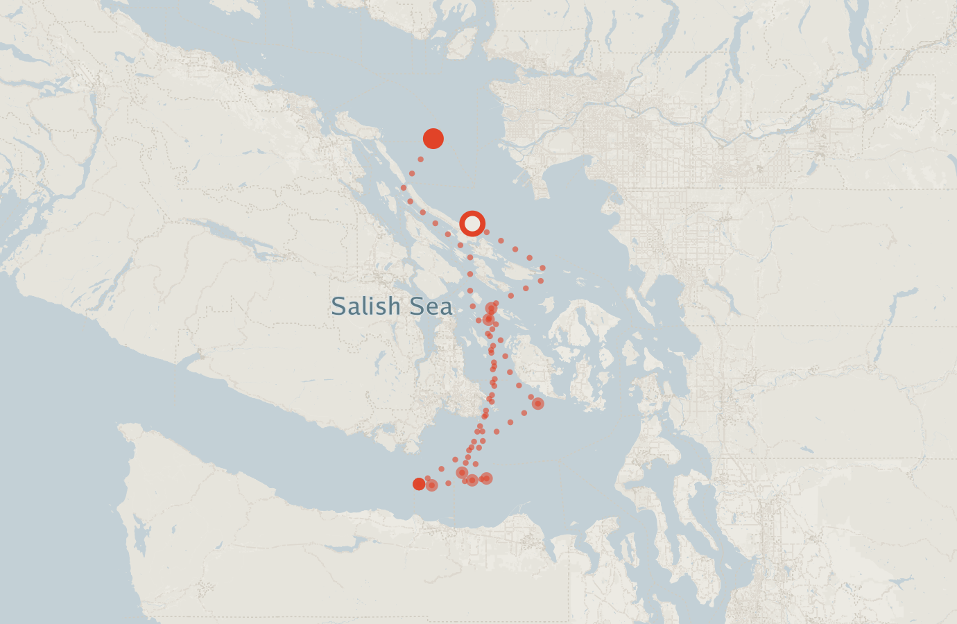 Activity map — real sighting points on an OpenStreetMap basemap