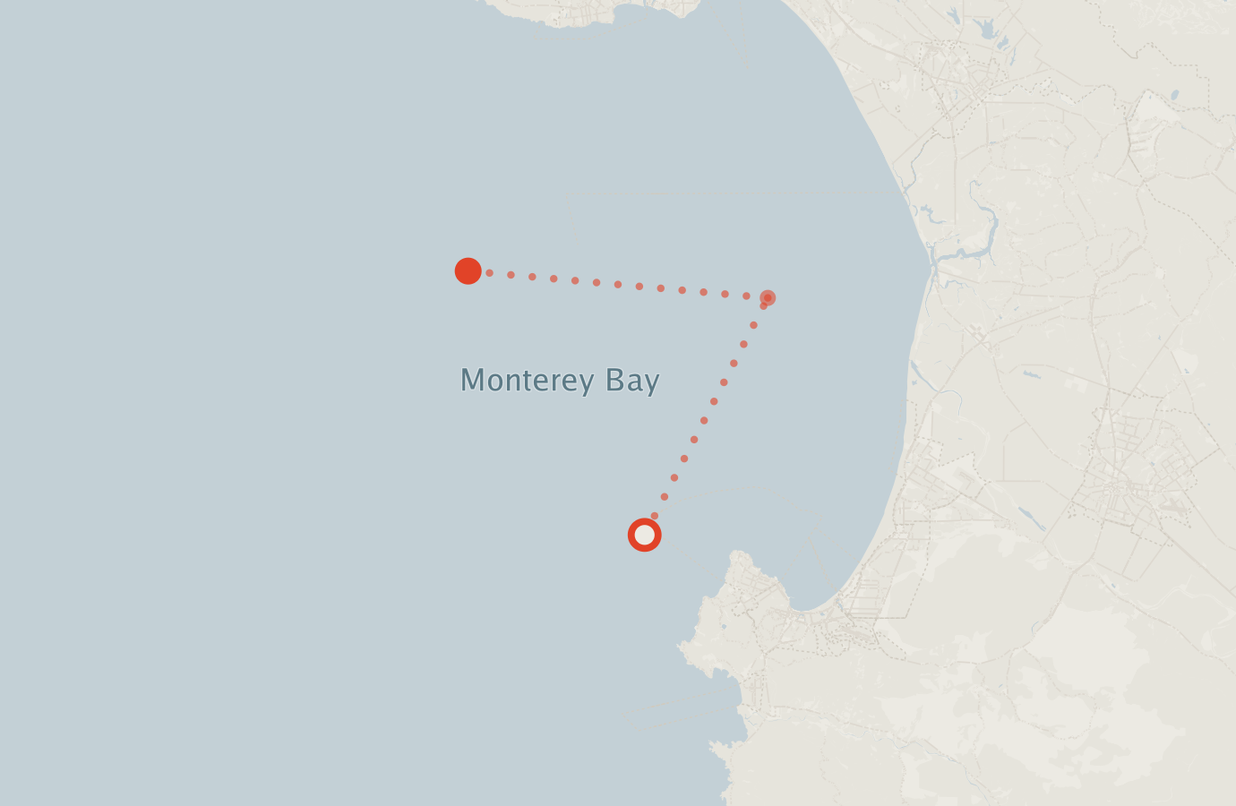 Activity map — real sighting points on an OpenStreetMap basemap