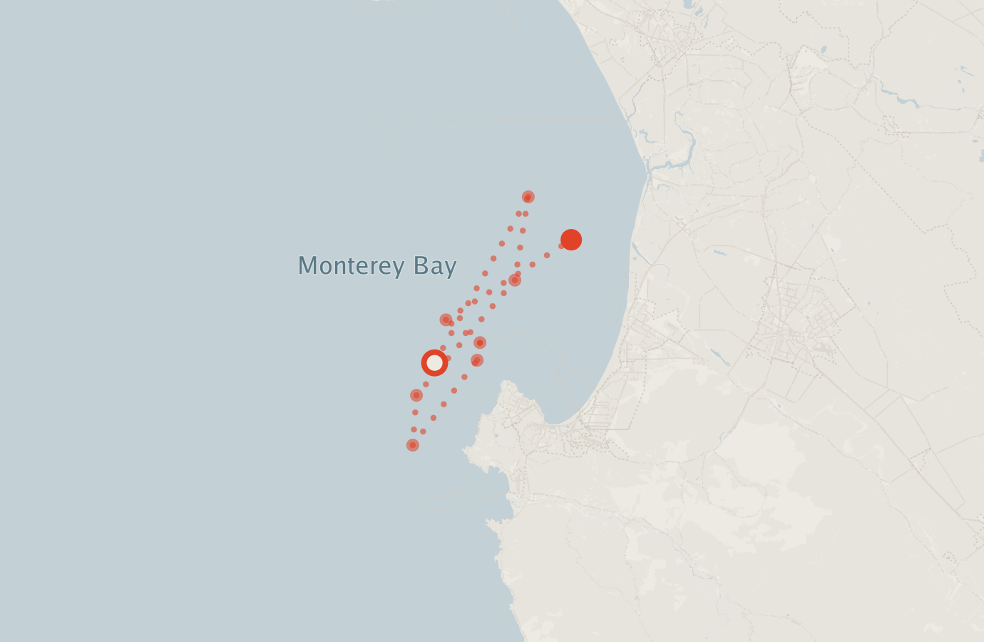 Activity map — real sighting points on an OpenStreetMap basemap