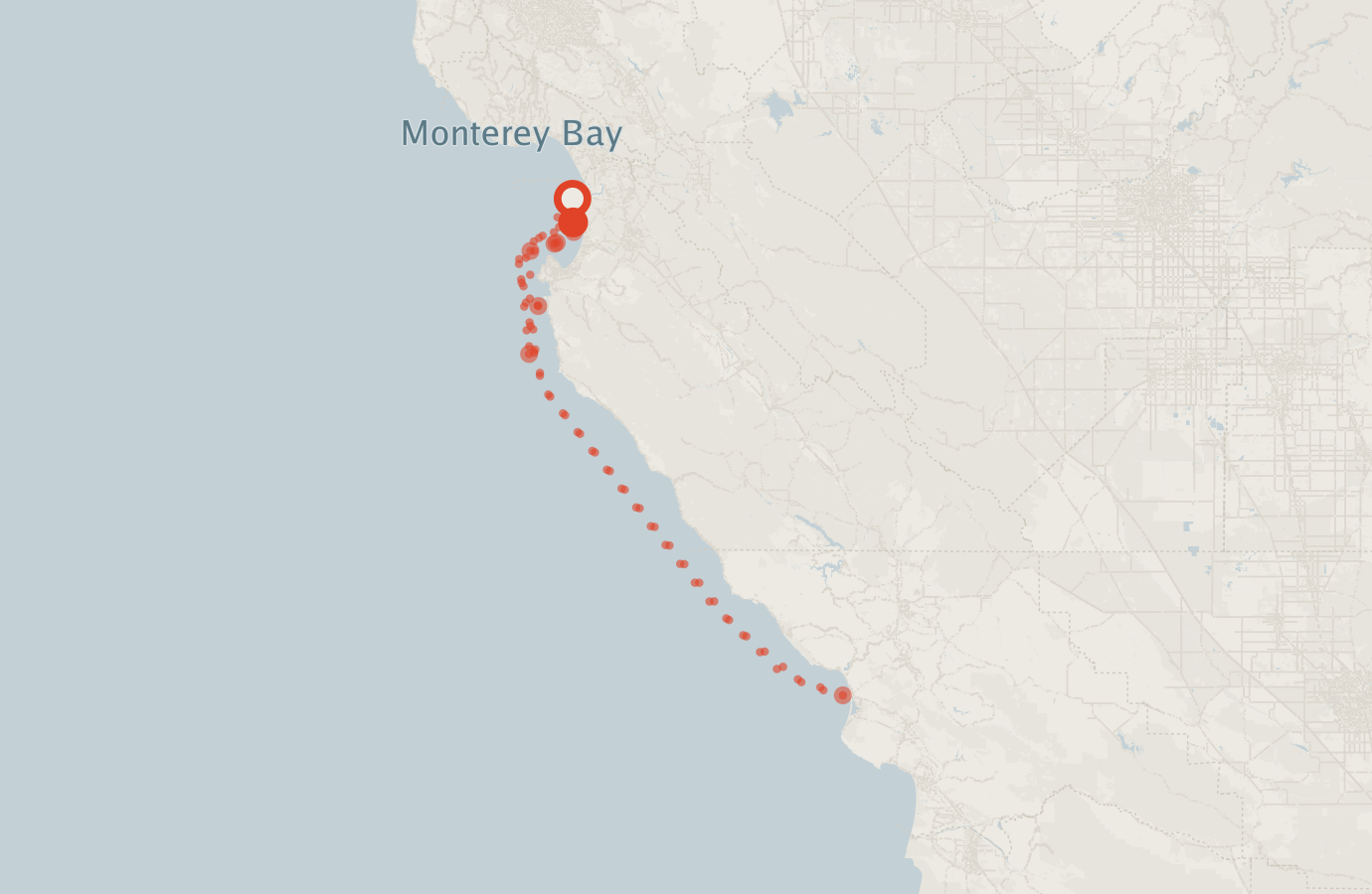 Activity map — real sighting points on an OpenStreetMap basemap