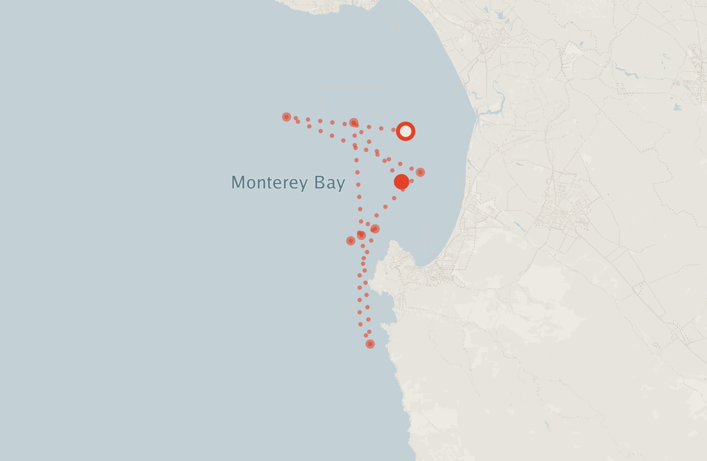 Activity map — real sighting points on an OpenStreetMap basemap