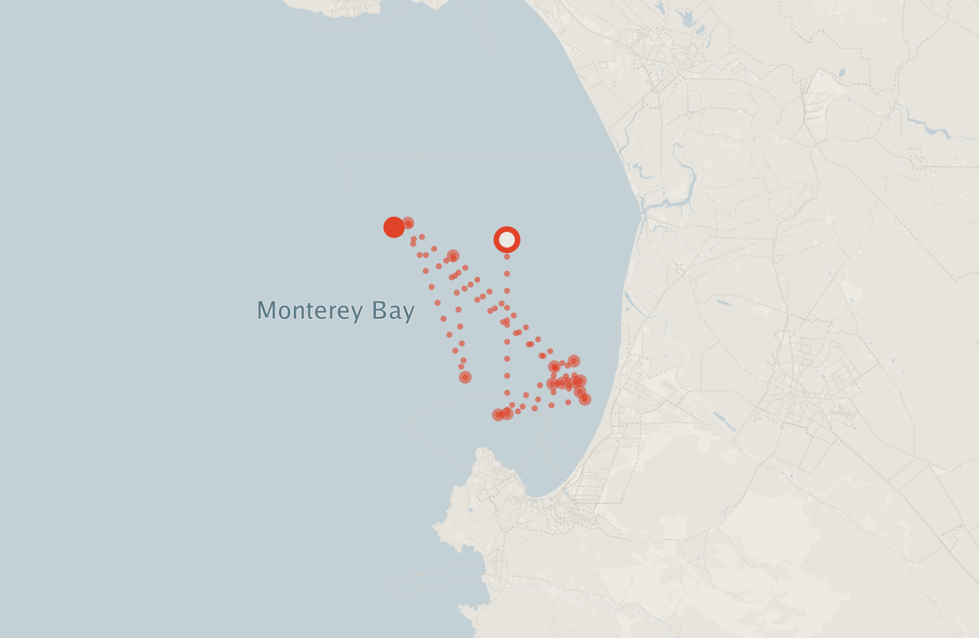 Activity map — real sighting points on an OpenStreetMap basemap