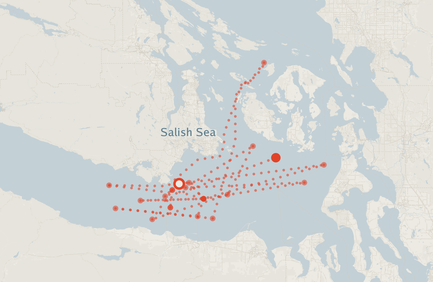 Activity map — real sighting points on an OpenStreetMap basemap