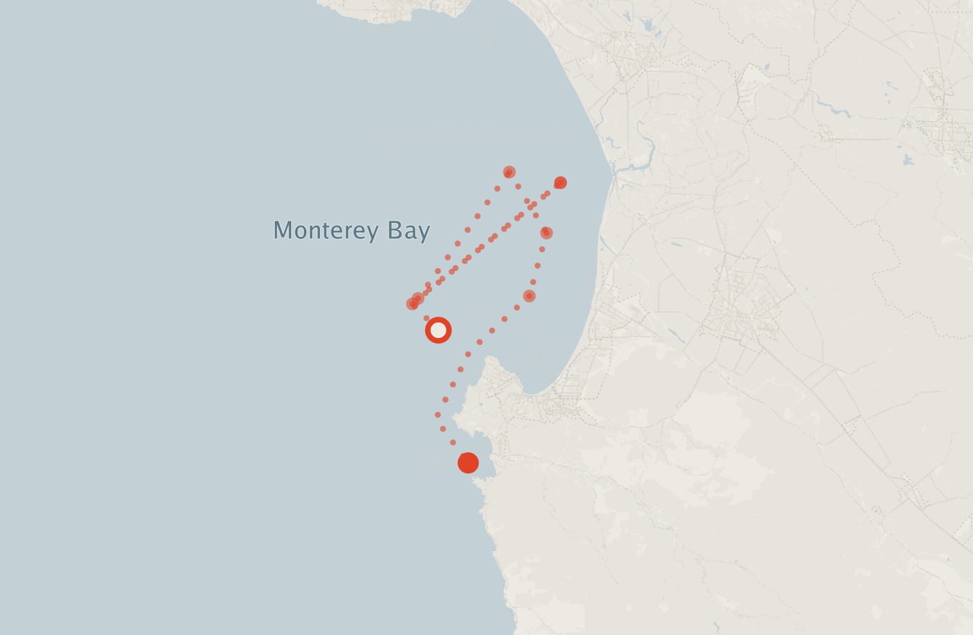 Activity map — real sighting points on an OpenStreetMap basemap
