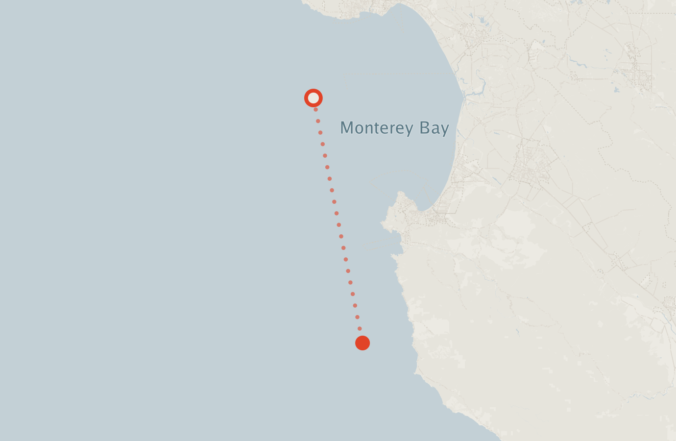 Activity map — real sighting points on an OpenStreetMap basemap