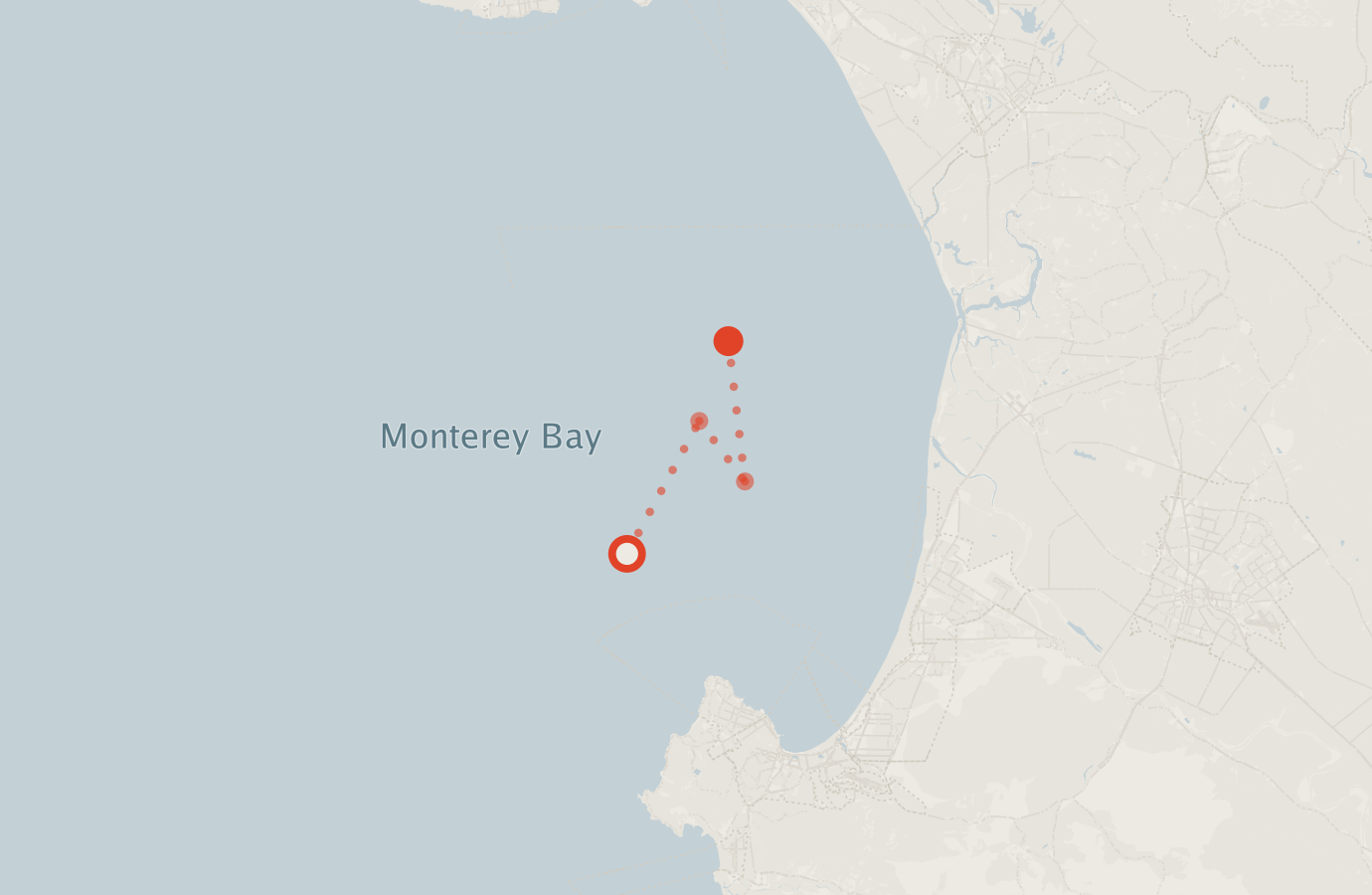 Activity map — real sighting points on an OpenStreetMap basemap