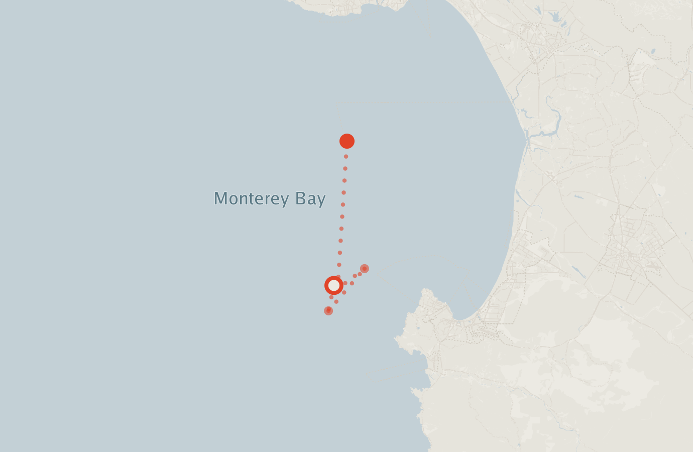 Activity map — real sighting points on an OpenStreetMap basemap