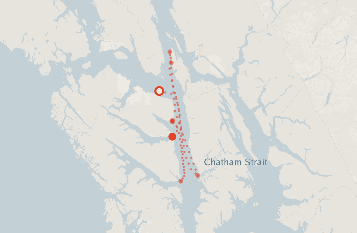 Activity map — real sighting points on an OpenStreetMap basemap